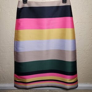 Striped Multicolor Women's Skirt